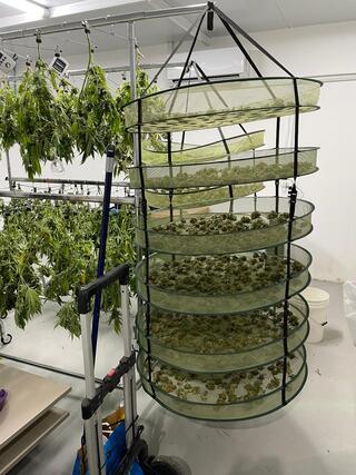 מעבדת סמים בחולון